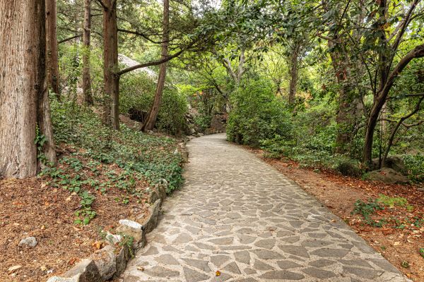 Stone Walkway Repair in Farmington