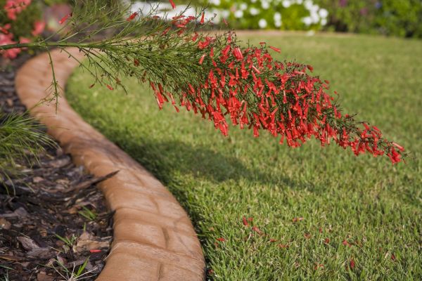 Brick Edging in Farmington