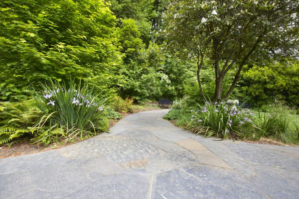 Stone Hardscape Service in Farmington